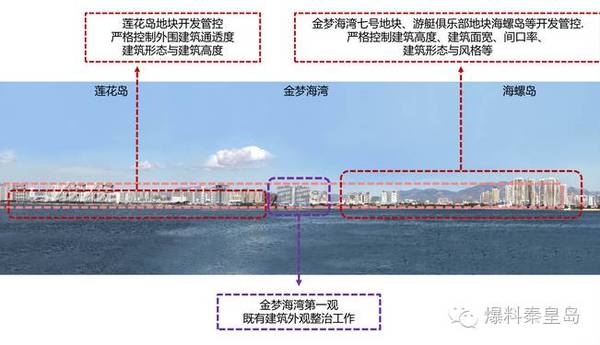 香港和澳门开奖记录港,灵活设计操作方案_AR84.405