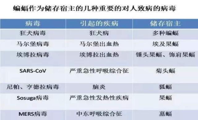 新奥最新资料单双大全,权威诠释推进方式_Z39.952