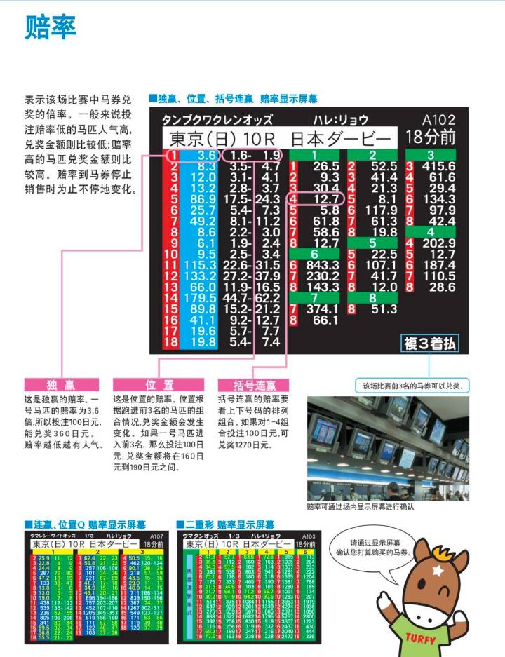 ゅ纪念相遇， 第5页