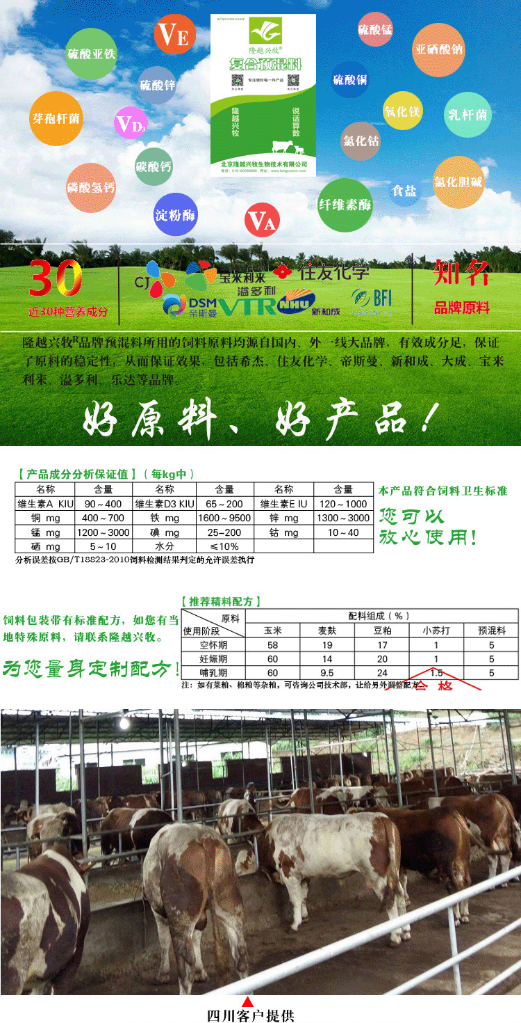 新澳门资料大全正版资料2024年免费下载,家野中特,实效设计解析策略_M版87.343