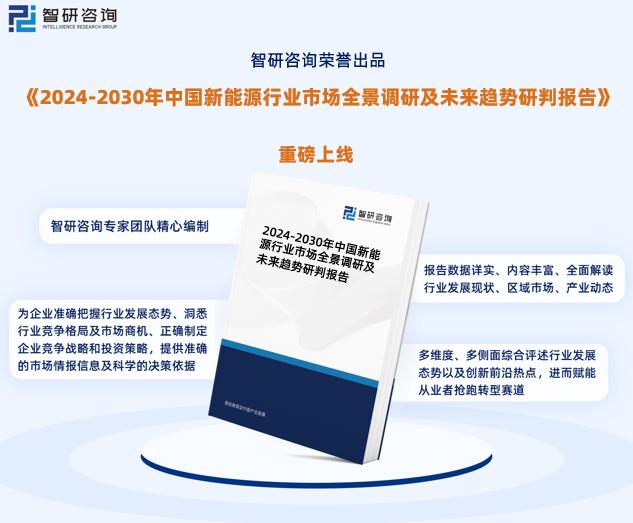 新澳2024年精准正版资料,高效实施策略设计_Z66.403