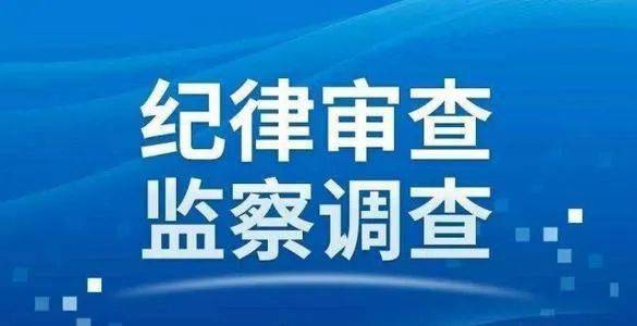 西区科学技术和工业信息化局领导团队最新概述