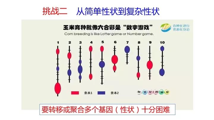 澳门一码一肖一特一中管家婆,数据驱动执行方案_挑战版18.734