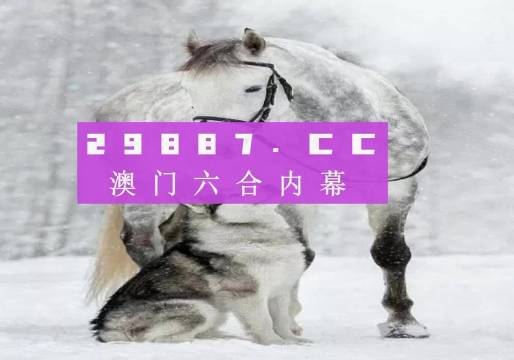 澳门马买马网站com,可靠研究解释定义_T73.186