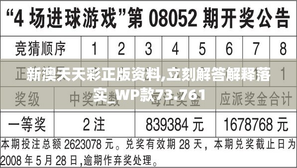 新奥彩天天开奖资料免费查询,效率资料解释落实_M版19.357