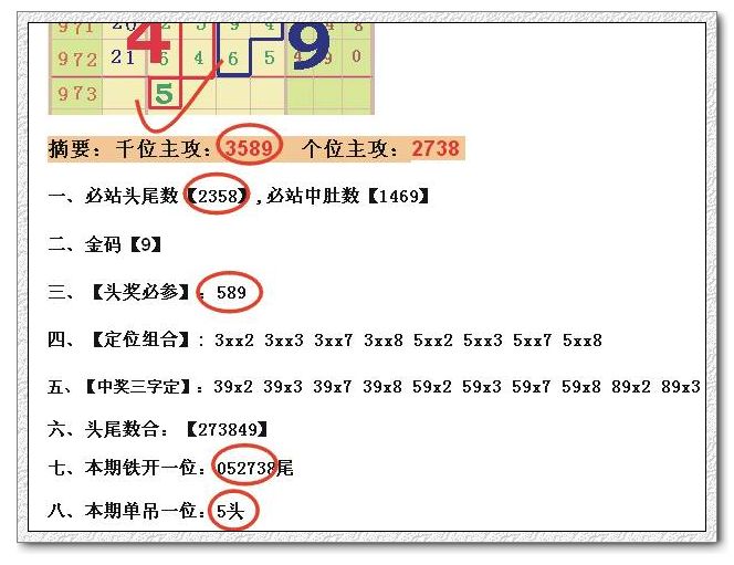 香港特马资料王中王,定量分析解释定义_LT25.166