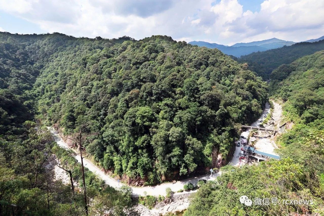 九龙岭林场最新资讯动态